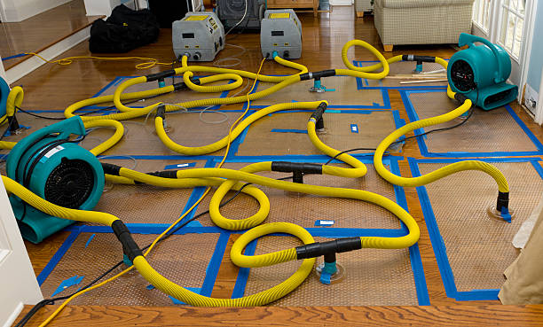 Professional Burst Pipe Water Damage technician working in Goodland, KS